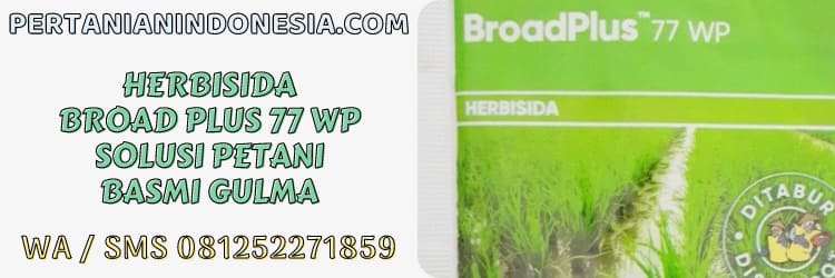 herbisida,broadplus,gulma,petani